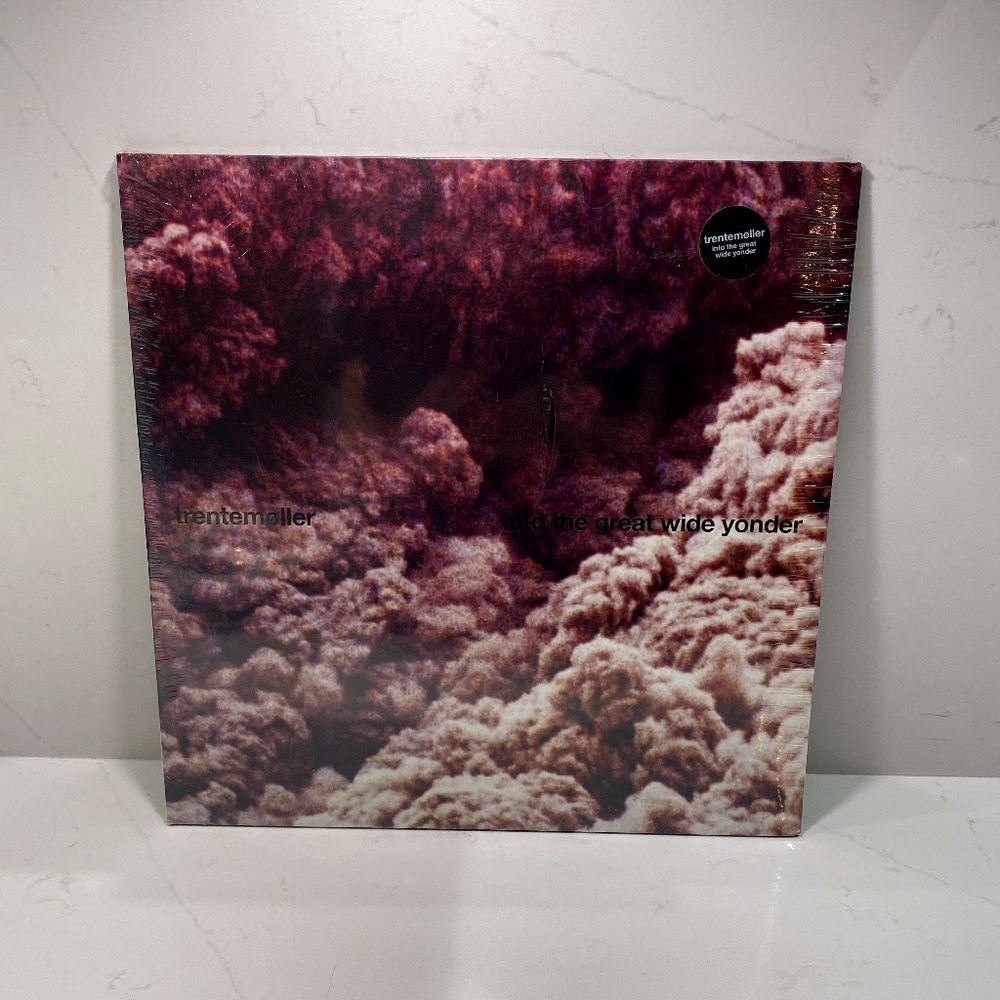 trentemoller Record LP into the great wide yonder